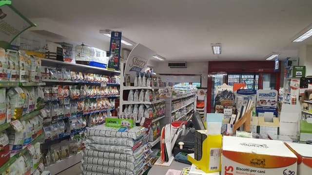 4 Talpes Pet Shop - Immagine 2