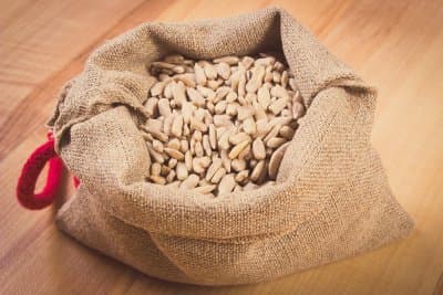 Acciarri Ugo & Nello - Immagine 2