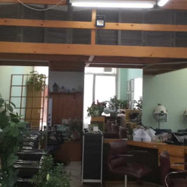 Acconciature Oscar - Immagine 1