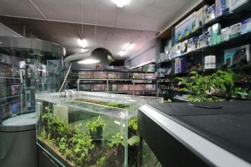 Acquario Art - Immagine 2