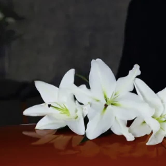 Af Arte Funebre Ambrosecchia - Immagine 1