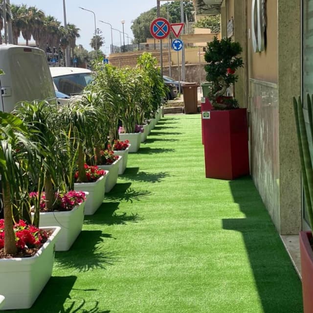 Agati Achillea Garden Vivaio - Immagine 2