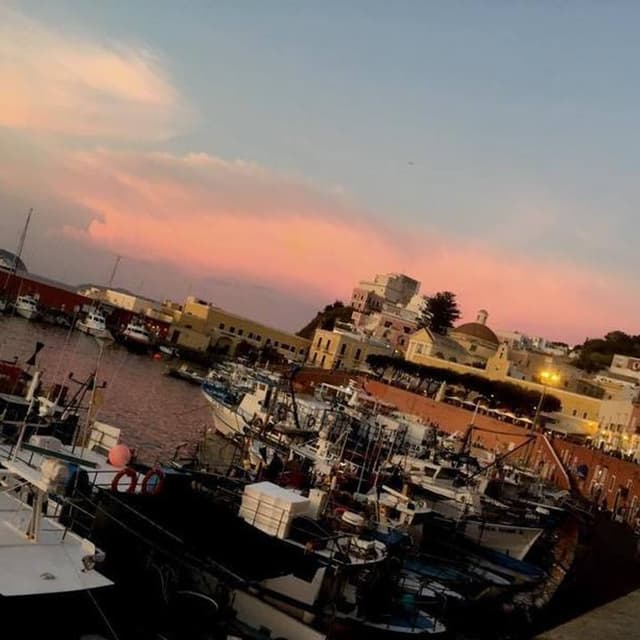 Agenzia Arcipelago - Immagine 2