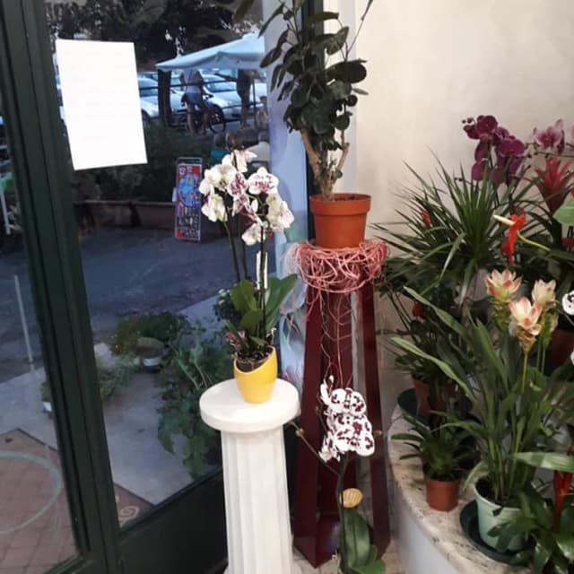 Agenzia Funebre Chialastri Andrea - Immagine 2