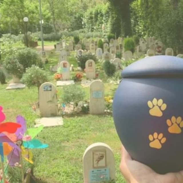 Agenzia Funebre Fransosa - Immagine 1