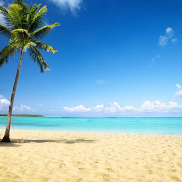 Agenzia Viaggi Dionisi Tour - Immagine 2