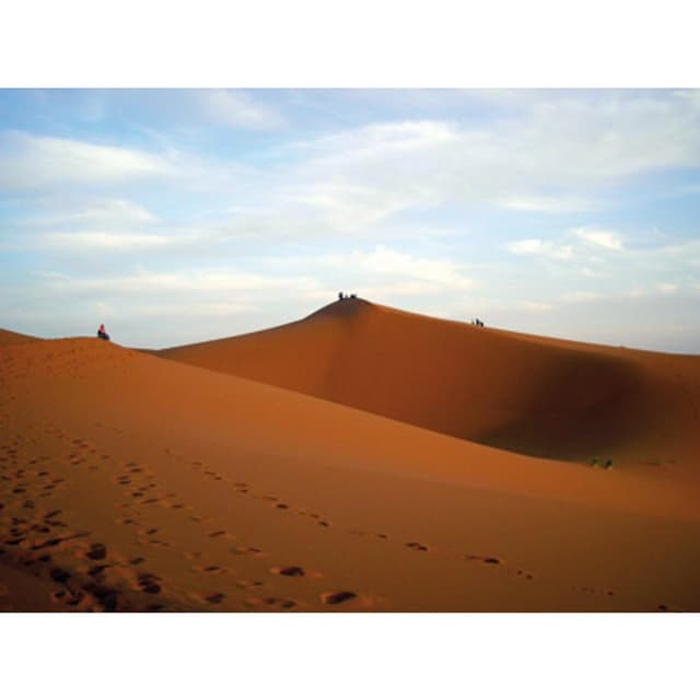 Agenzia Viaggi Speedy Gonzales - Immagine 2