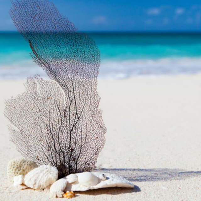 Agenzia Viaggi Tradatese - Immagine 1