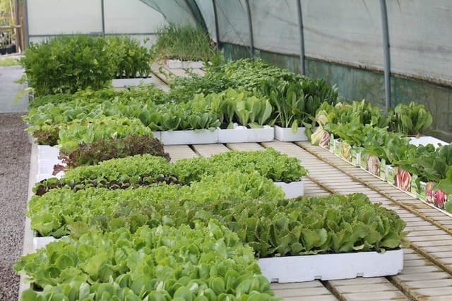 Agri - Zoppola - Immagine 2