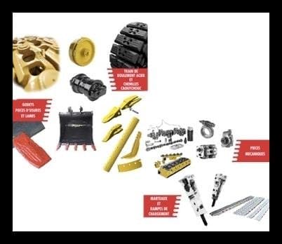 Agribidente - Immagine 1