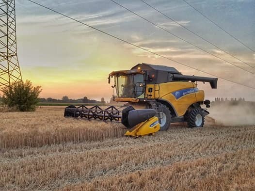 AgriBoggian di Boggian Roberto e C. - Immagine 1