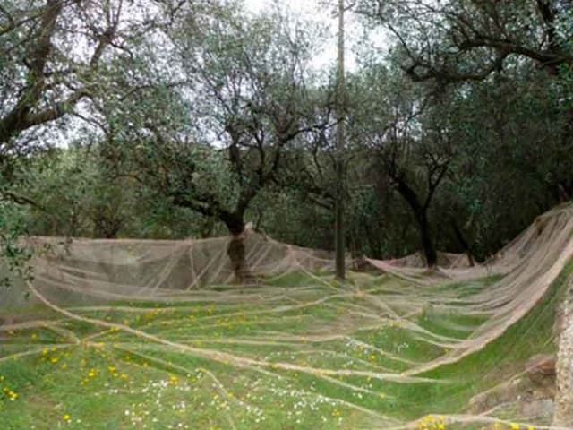 Agrifutura S.r.l. - Immagine 1