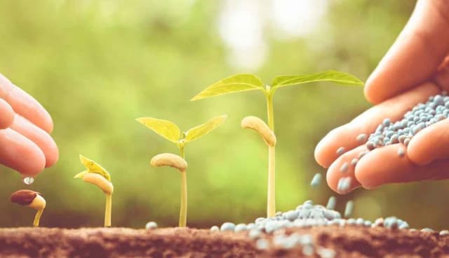 Agrifutura S.r.l. - Immagine 2