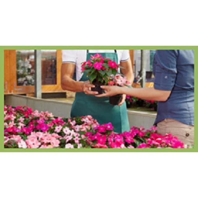 Agrisistem - Immagine 1