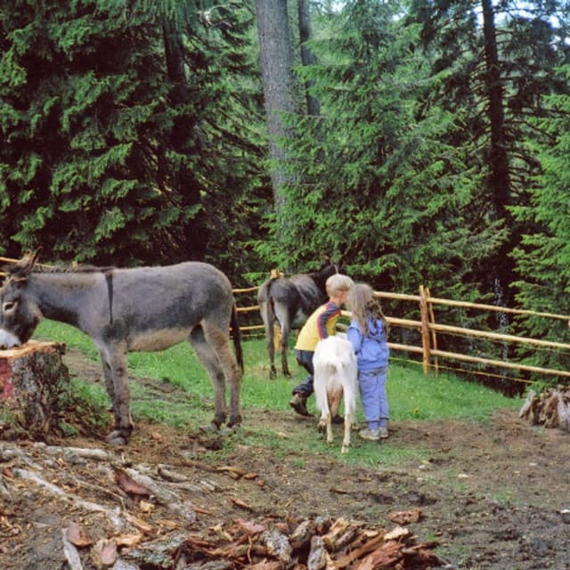 Agritur Malga Secine - Immagine 1