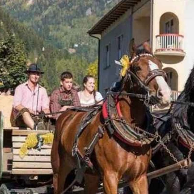 Agritur Maso Lena Malga Bocche - Immagine 2