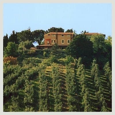 Agriturismo Casale di Colle - Immagine 1