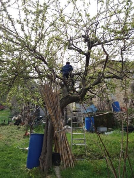 Agriturismo Il Castagneto - Immagine 2