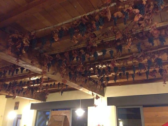 Agriturismo Il Piccolo Mugnaio - Immagine 2