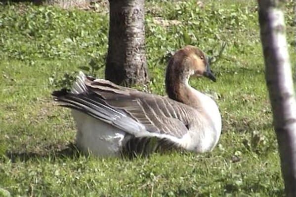 Agriturismo La Natura - Immagine 1
