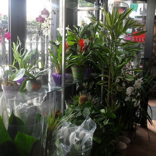 Agrizoo 2000 - Immagine 1