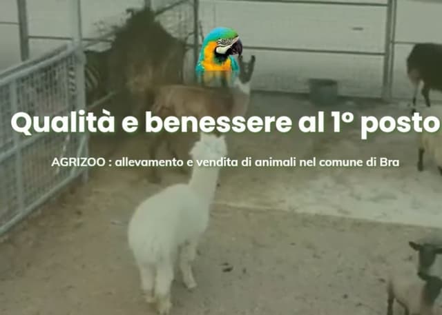 Agrizoo - Immagine 1