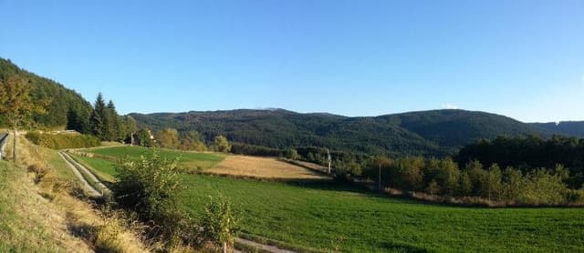 Agro-Dendrostudio - Immagine 1