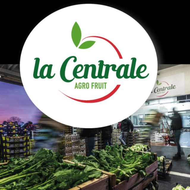 Agro Fruit - Immagine 2