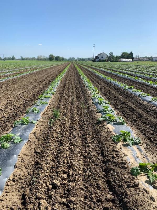 Agrofata - Immagine 1