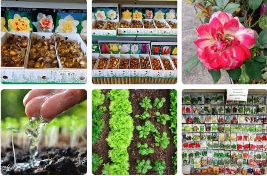 Agroflor - Immagine 1