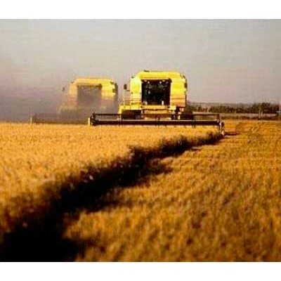 Agromeccanica Finardi - Immagine 1