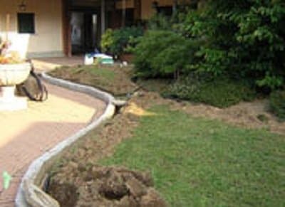 Agrotecnico Davide Rossotti - Immagine 2