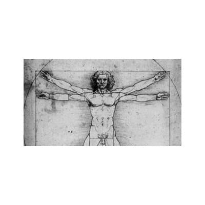 A.I.E.D. - Immagine 1