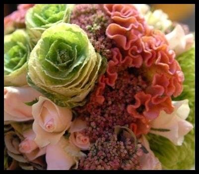 Al Bocciolo - Immagine 2