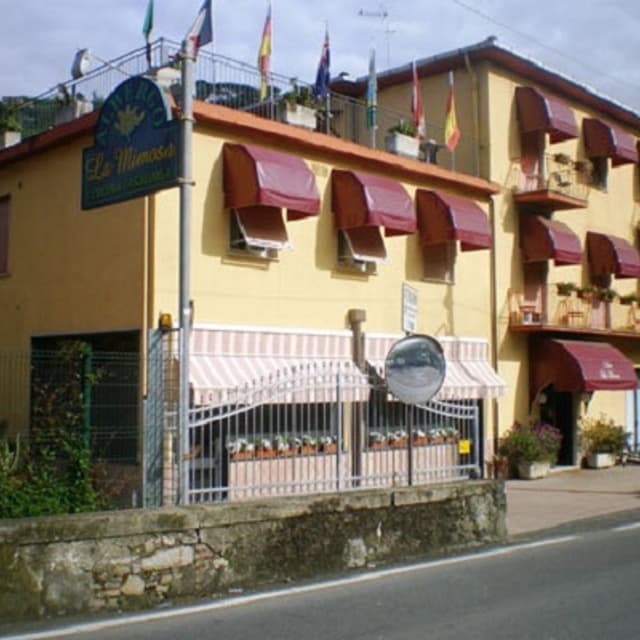 Albergo  La Mimosa - Immagine 2