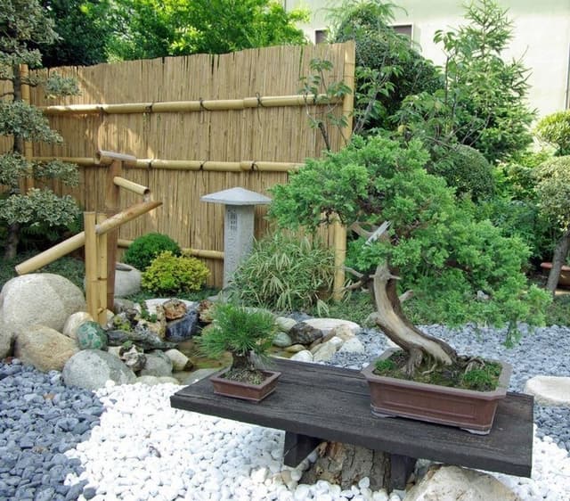 Albonsai - Immagine 1