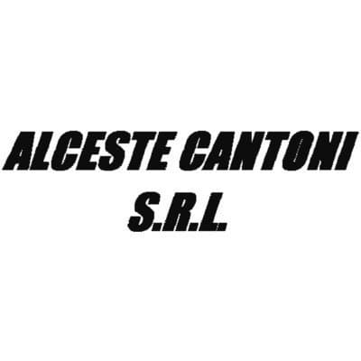 Alceste Cantoni - Immagine 2