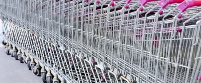 A.L.F.A. FILO - Immagine 2