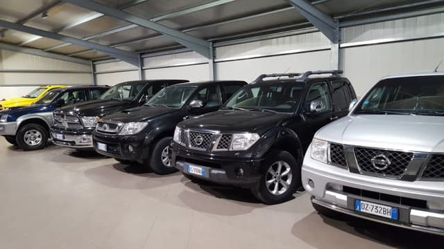 Alia Fuoristrada - Immagine 2