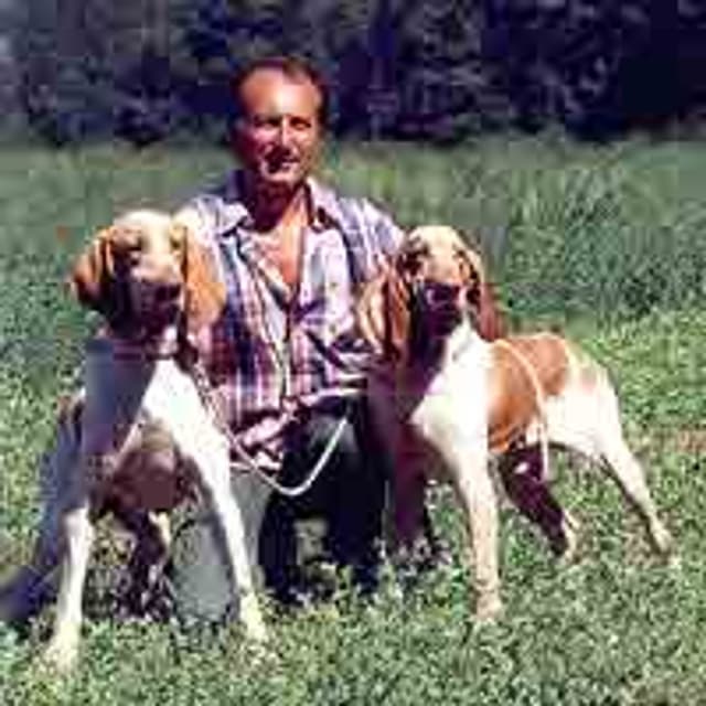 Allevamento dell'Oltrepo' - Immagine 2