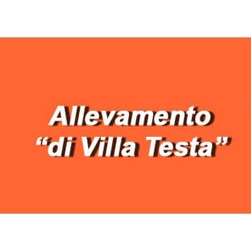 Allevamento Villa Testa - Immagine 1