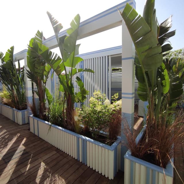 Allstar Dee.Sign - Immagine 2