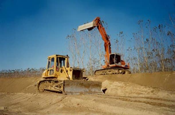 A.L.S.E.A. - Immagine 1