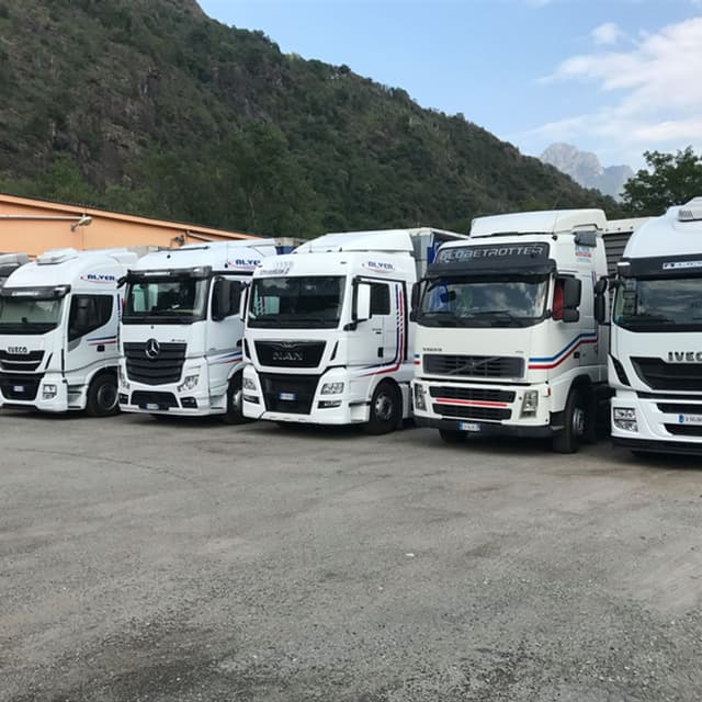 Al.Ver. Trasporti Srl - Immagine 1