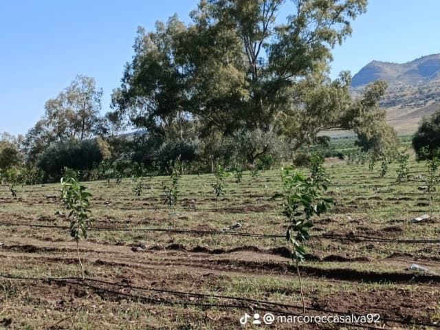 A.M. Impianti - Immagine 1