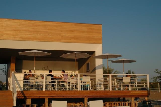 Amalia Laghi - Immagine 1