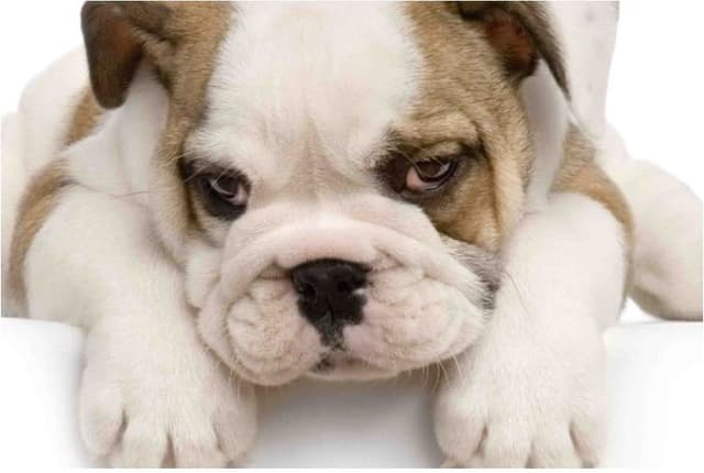 Ambulatorio Gilardoni S.r.l. - Immagine 2