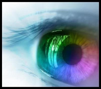 Ambulatorio Oculistico Broccoli - Immagine 2