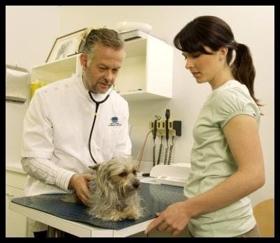 Ambulatorio Veterinario Bertaglia - Immagine 1