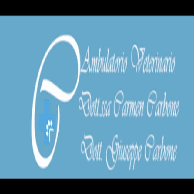 Ambulatorio Veterinario Carbone - Immagine 1